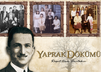 Yaprak Dökümü Romanı