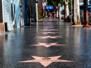 Hollywood Stars